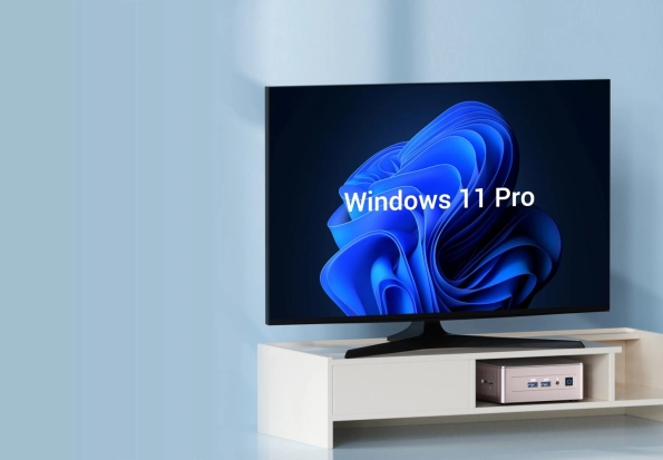 Windows 11